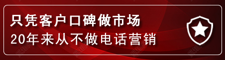 镇安建网站公司